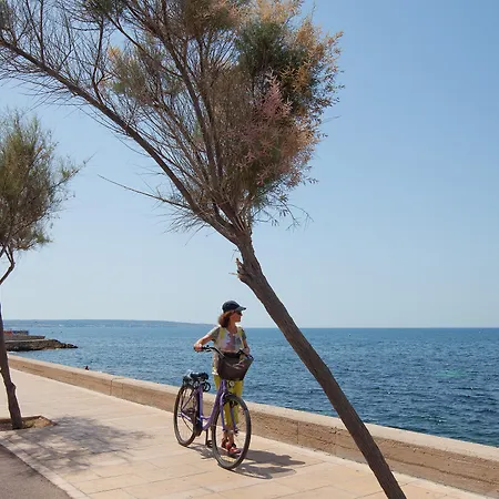 Hotel Js Palma - Adults Only